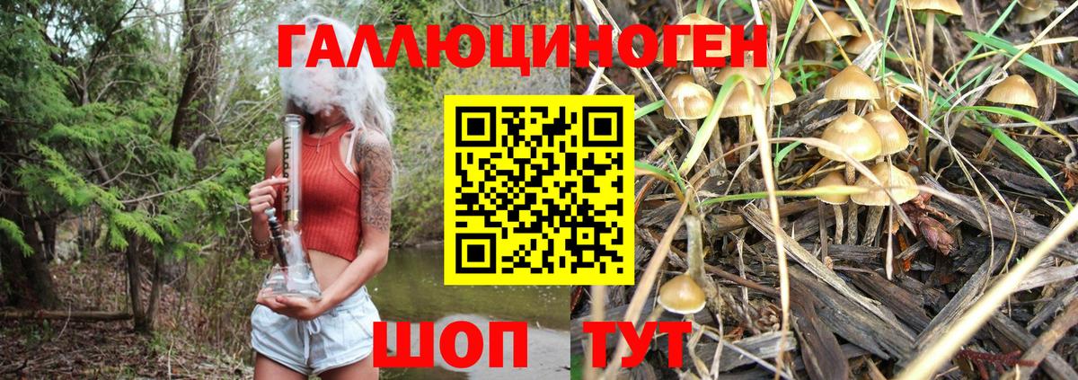 Пенза  Псилоцибиновые грибы Psilocybe  Псилоцибиновые грибы мухоморы  Вход с VPN 